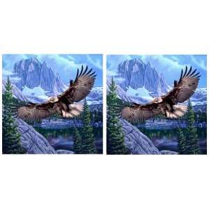 Soaring Eagle with Mountain Scene Mink Style Queen Blanket Set of 2