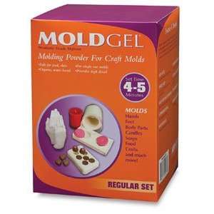  ArtMolds MoldGel Regular Set   50 lb, MoldGel Arts 