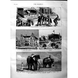 1884 ELEPHANT BARNUM SANGERS CIRCUS LOWDER HOSPITAL 