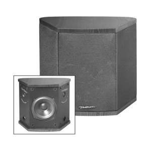 BIC AMERICA, BIC America DV5 150 W Speaker (Catalog Category Consumer 