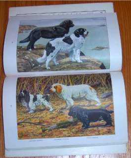 National Geographic MARCH 1919 DOG, DOGS, Louis Fuertes  