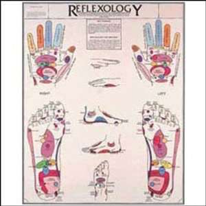 Reflexology Chart  Industrial & Scientific