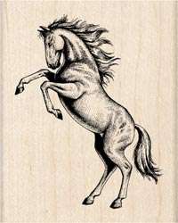 Classic Rearing Stallion Horse Inkadinkado Rubber Stamp  