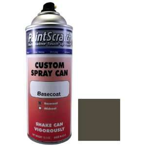  12.5 Oz. Spray Can of Deep Gray (matt) Touch Up Paint for 