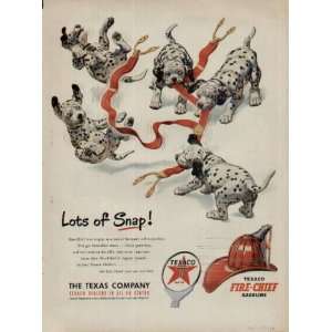 Texaco Dalmations, Lots of Snap  1951 Texaco Dalmations Ad 