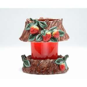  Spring   Terra Cotta Pottery Strawberry   Medium Oval 
