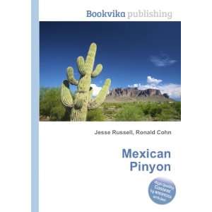  Mexican Pinyon Ronald Cohn Jesse Russell Books