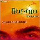   Your Mind on Hold by Bluezeum CD, Mar 1999, Telarc Distribution  