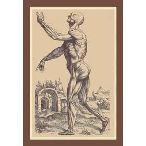Exclusive By Buyenlarge The Second Plate of the Muscles 20x30 poster 