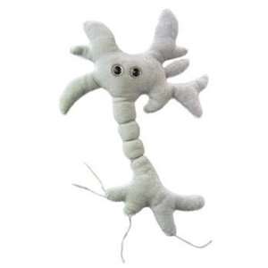     Miniature in Size   2 3 Inches) Brain Cell (Neuron) Toys & Games