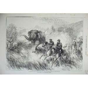   Wales Nepaul Terai Elephant Chasing Sketch 