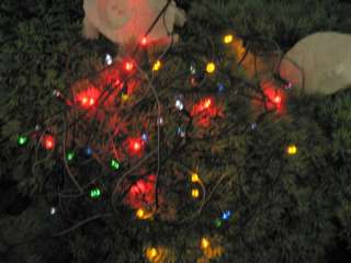 SM 204 White, Blue and 5C Solar Holiday, Christmas Light 50 LEDs