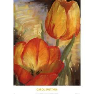    Summer Tulips II   Poster by Carol Buettner (16x22)