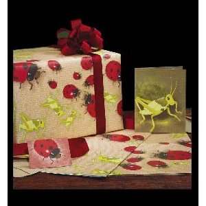  Buggin Out Gift Wrap Set