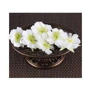  Petunia Flowers 6 Pack Overture Electronics