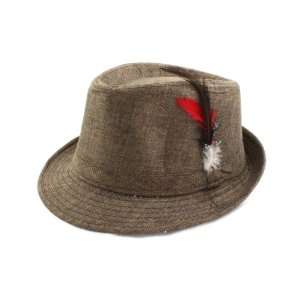   Fedora Hat Features Stunning Feather Design in Brown for Men and Women