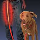   Ize Nite Dawg LED Light up Dog Lead Glow in the Dark Road Safety Leash