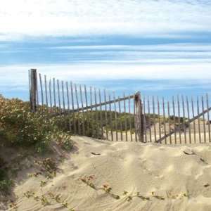  P 0079E Dune Fence South 12 x 12 Paper 