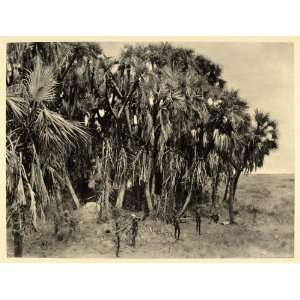  1930 Nuer Hunters Men Sudan Africa Hugo Adolf Bernatzik 