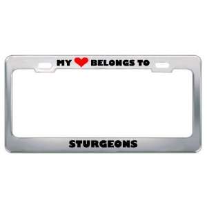 My Heart Belongs To Sturgeons Animals Metal License Plate Frame Holder 