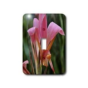 WhiteOak Photography Floral Prints   Cannas 172   Light Switch Covers 