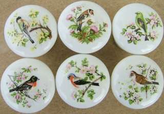 Cabinet Knobs Knob w/ Domestic Birds #5 (6)  