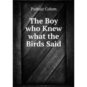  The Boy who Knew what the Birds Said Padraic Colum Books