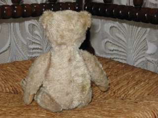brand steiff country germany item antique old humpback mohair teddy 