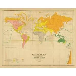  Cartee´1856 Antique Chart of the Ethnographic 