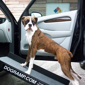 NEW DOGRAMP SIDEKICK CAR RAMP DOG PET STEP BEST VALUE  