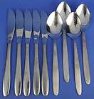 National Stainless CARESS Lot 8 Spoons and Knives  