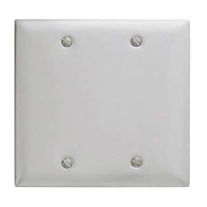 Bryant Ss23 Box Mounted Blank Plate, 2 Gang, Standard, Satin Stainless