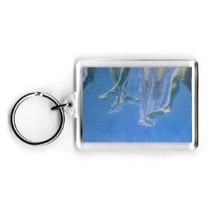  Plunge (oil on board) by William Ireland   Acrylic Keyring 