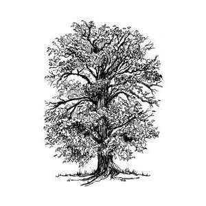  Crafters Companion Art Kure EZMount Cling Stamp Oak Tree 