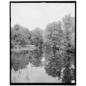    Lily pond,Mount Holyoke College,South Hadley,Mass.
