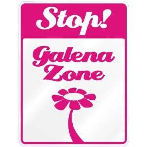  New  Stop  Galena Zone  Parking Sign Name