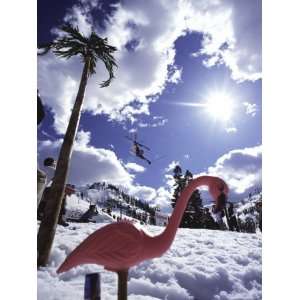  Low Angle View of a Swan Sculpture in The Snow 