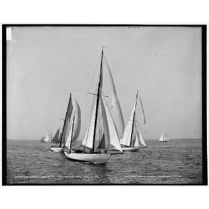  Start of the sloops,Petrel leading,Aug. 10,1900,N.Y.Y.C 