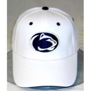  Penn State Nittany Lions NCAA Adult White Wool 1 Fit Hat 