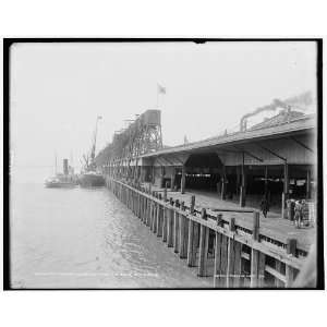  Stuyvesant elevators from the river,New Orleans