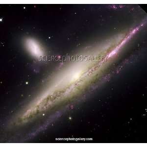  Colliding galaxies NGC 1531 and NGC 1532 Framed Prints 