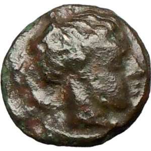   Ancient Greek Coin Nymph Arethusa Cuttle fish Octopus 
