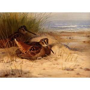  FRAMED oil paintings   Archibald Thorburn   24 x 18 inches 