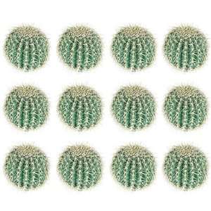   12 Pieces of 6 Barrel Artificial Cactus Desert Plants