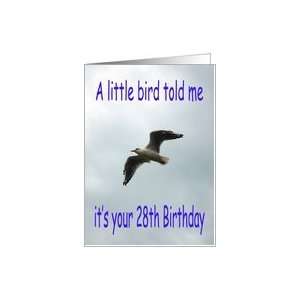  Happy 28th Birthday Flying Seagull bird Card Toys & Games
