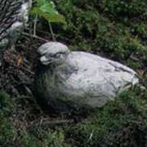  Campania Cast Stone Animal   Mini Bird   Natural Patio 
