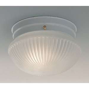  Indoor Ceiling Fixture   White