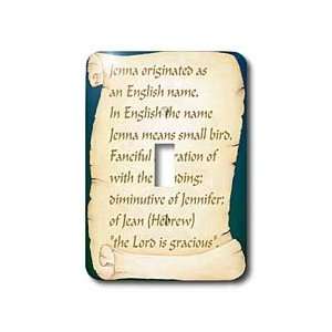   Meaning   Light Switch Covers   single toggle switch