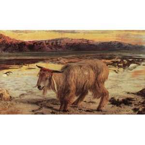   painting name The Scapegoat, By Hunt William Holman