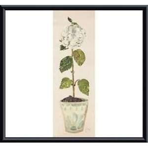   Hydrangea   Artist Hazel Burrows  Poster Size 19 X 7